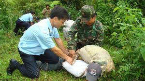 hai quan quang binh phong chong ma tuy