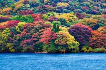 Khám phá mùa thu Nhật Bản vời đường tour mới