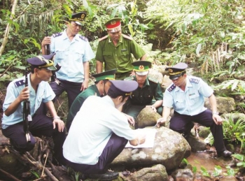 lanh dao cac bo nganh danh gia ve nganh hai quan