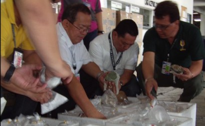 hai quan philippines thu giu 259 mon trang suc quy
