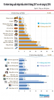 infographics nhung nhom hang xuat nhap khau chinh 8 thang nam 2017