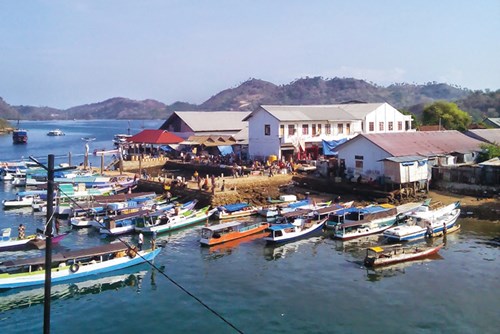 kham pha dao rong komodo