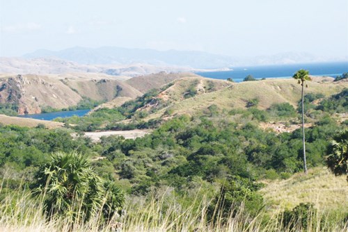 kham pha dao rong komodo