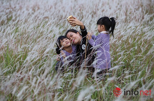 me man ngam ve dep bai co lau giua long ha noi