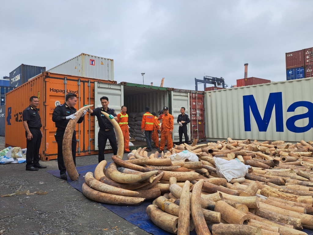 Phó thủ tướng biểu dương thành tích bắt hơn 7 tấn ngà voi tại Hải Phòng