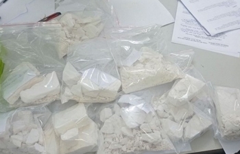 Hải quan Hải Phòng phối hợp bắt giữ 9 bánh heroin