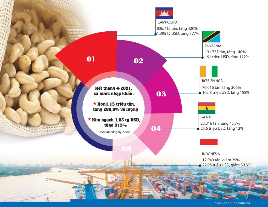 Infographics: Bất ngờ nhập khẩu hạt điều từ Campuchia tăng 420%
