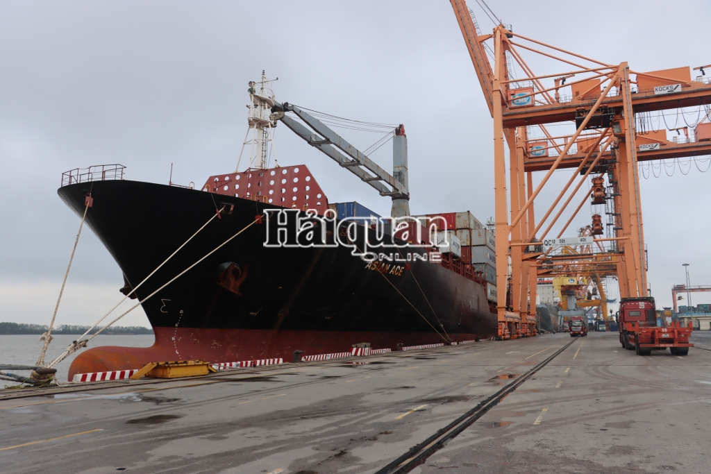 Hải quan Hải Phòng: Tháng đầu tiên kim ngạch xuất nhập khẩu đạt 10 tỷ USD