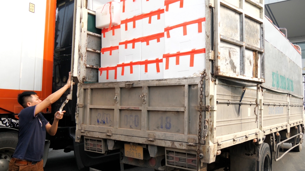Hải quan Lào Cai thông quan hơn 2.700 tấn vải thiều xuất khẩu