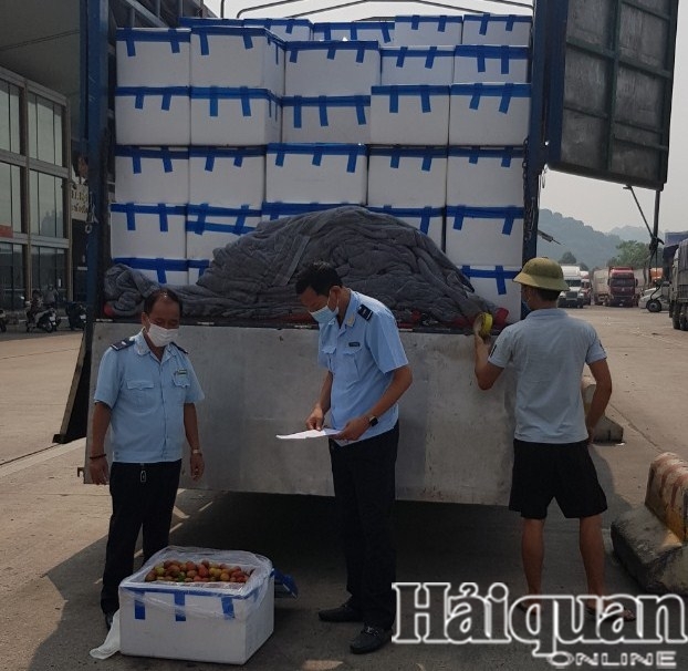 Hải quan Lào Cai thông quan hơn 38.000 tấn vải thiều xuất khẩu