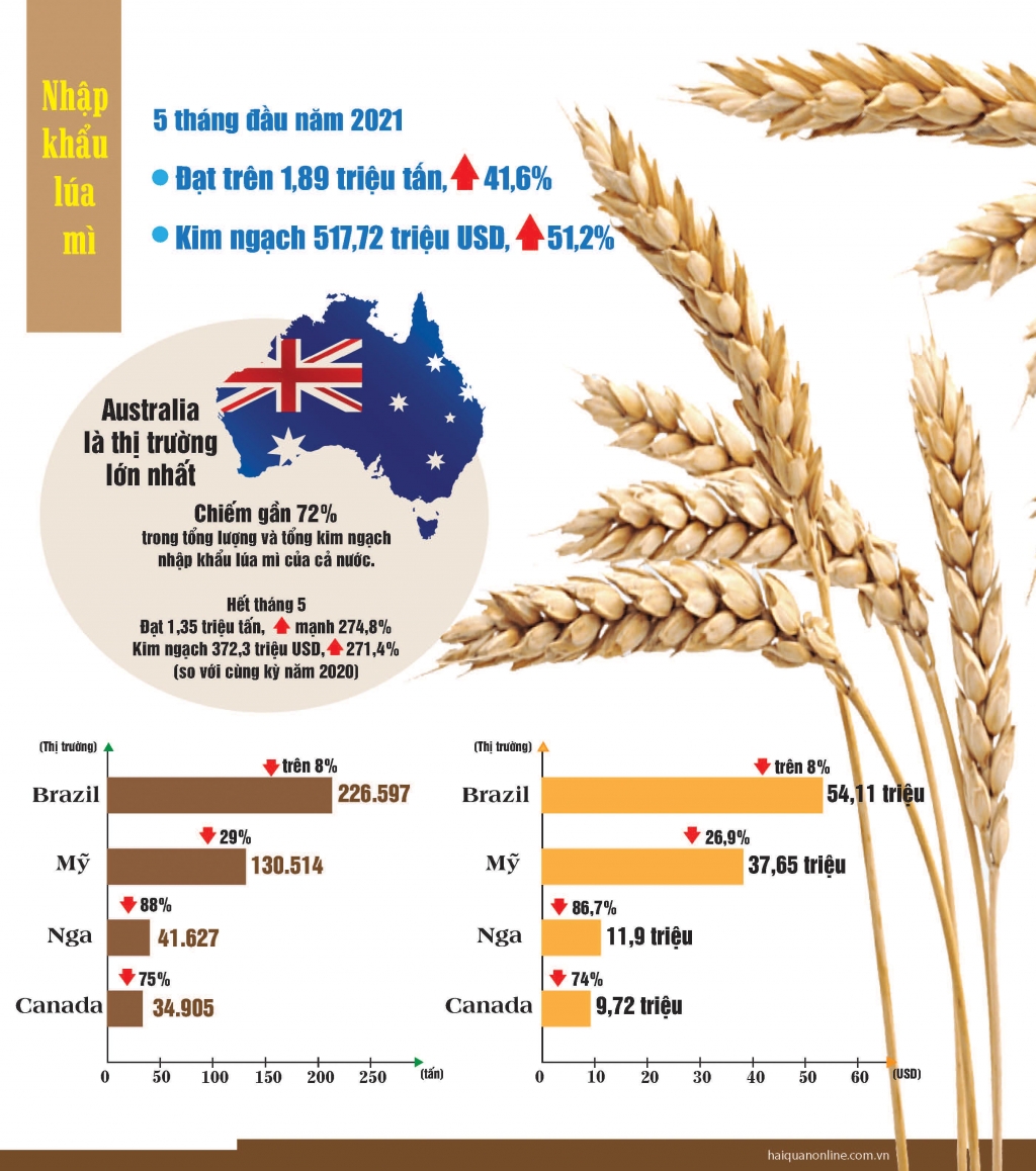 Infographics: Nhập khẩu lúa mì từ Australia tăng hơn 170%