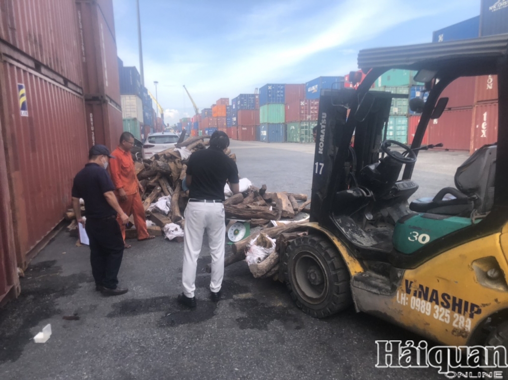 Hàng trăm khúc gỗ nghi vi phạm Công ước CITES tại cảng Hải Phòng
