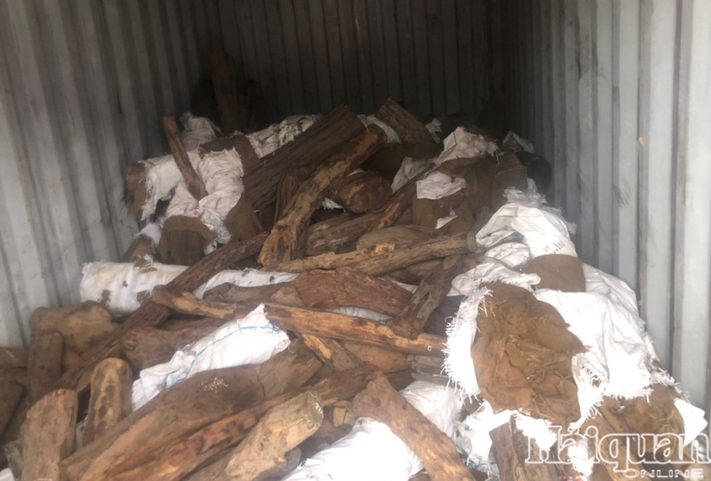 Hàng trăm khúc gỗ nghi vi phạm Công ước CITES tại cảng Hải Phòng