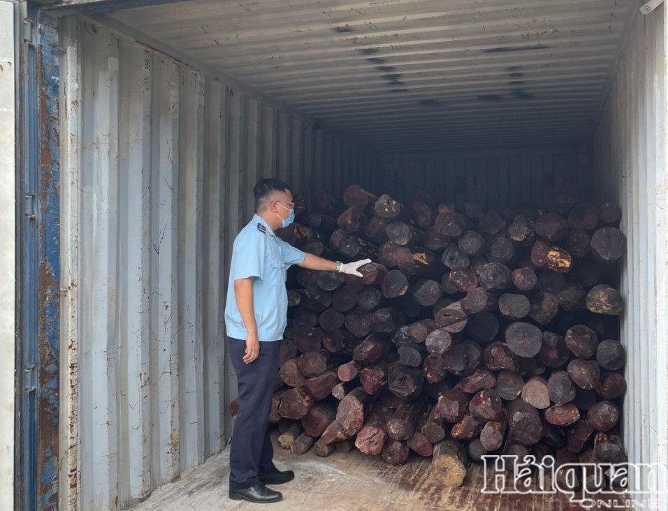 Hải quan Hải Phòng khởi tố vụ buôn lậu gỗ giáng hương