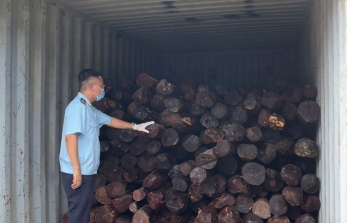 Hải quan Hải Phòng khởi tố vụ buôn lậu gỗ giáng hương