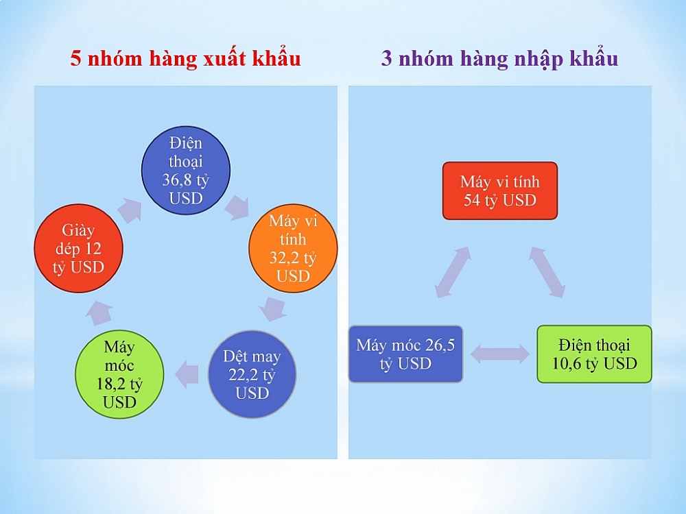 Infographics: Những con số 