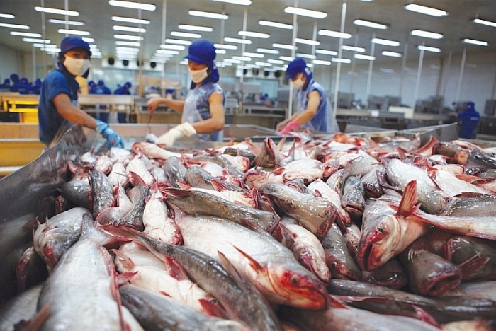 Xuất khẩu thủy sản sang Trung Quốc tăng mạnh 82%