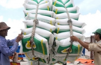 Giữ nguyên đề nghị xuất khẩu 400.000 tấn gạo trong tháng 4