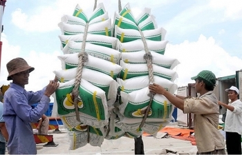 Thủ tướng yêu cầu xuất khẩu gạo phải thận trọng