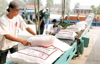 Thủ tướng quyết định xuất cấp 2.000 tấn gạo hỗ trợ nhân dân vùng lũ