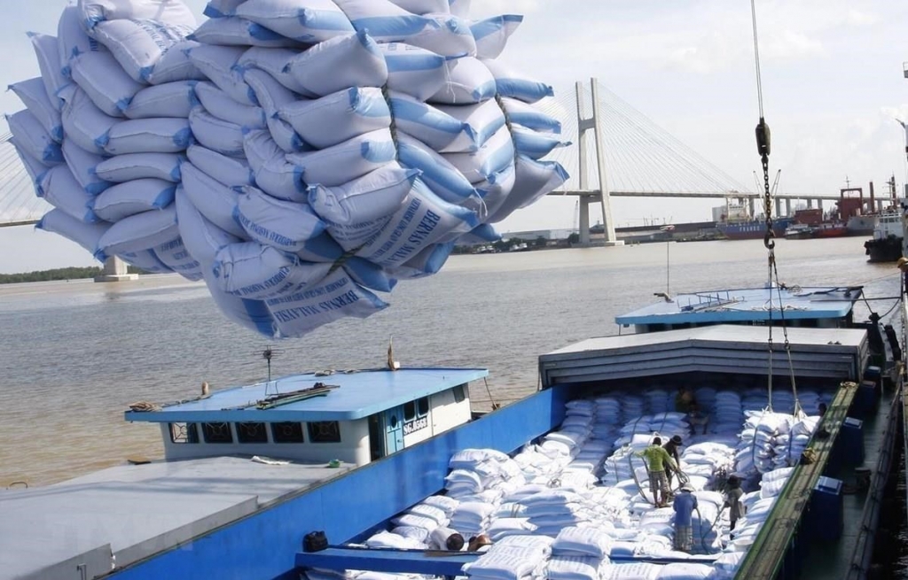 Trị giá xuất khẩu gạo tăng mạnh hơn 22%