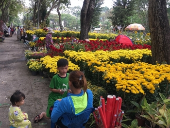 Chợ hoa Sài Gòn vắng khách, tiểu thương lo hoa ế