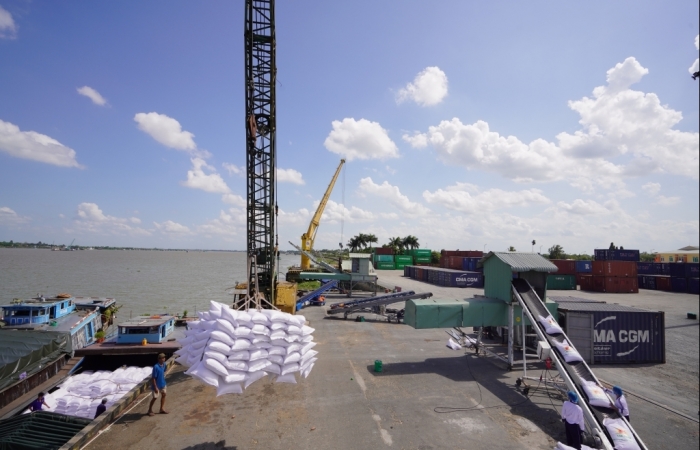 Xuất khẩu 4.500 tấn gạo đi 4 châu lục, Lộc Trời thu về hơn 3 triệu USD