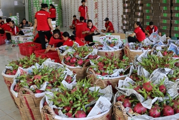 Từ 1/5, trái cây lót bằng rơm rạ sẽ không được xuất khẩu vào Trung Quốc
