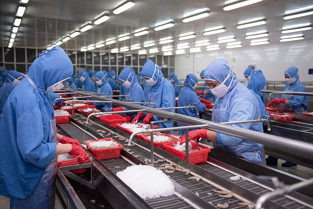 Hoạt động sản xuất tôm tại Fimex - một thành viên của PAN Group