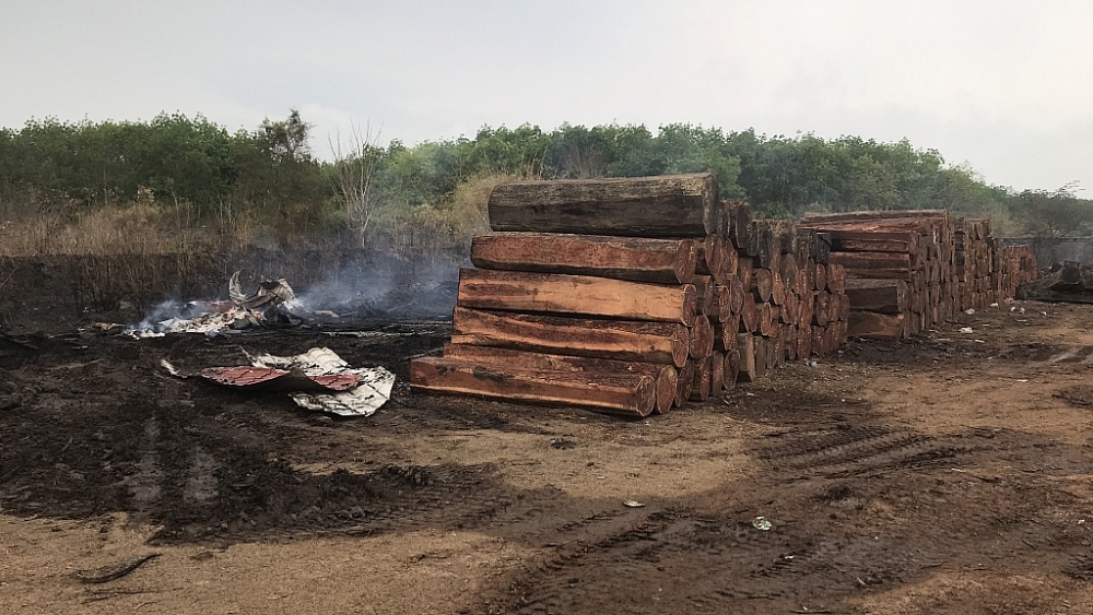 Không có thiệt hại về người và tài sản trong vụ cháy tại cửa khẩu Hoàng Diệu