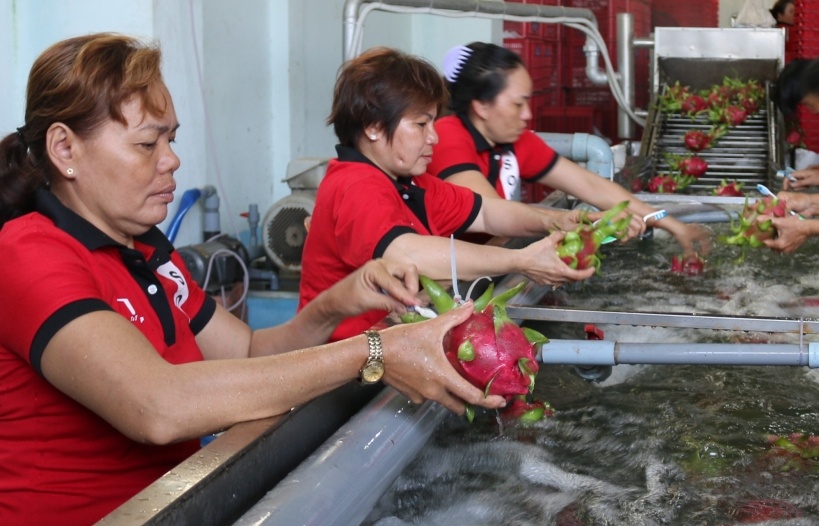 Nông sản Việt vào EU: Còn rất thấp so với nhu cầu
