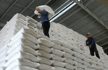 Xuất khẩu gạo kém, Vinafood 2 lỗ 59 tỷ đồng