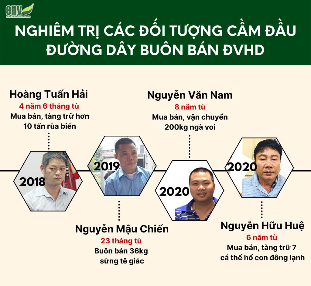 Công tác xử lý tội phạm về động vật hoang dã tại Việt Nam đạt bước tiến tích cực