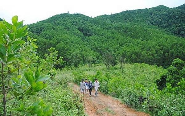 nhieu dia phuong cham phe duyet phuong an su dung dat cho cac cong ty nong lam nghiep