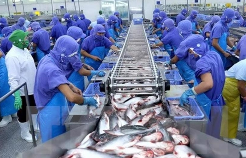 Doanh nghiệp xuất khẩu cá tra kỳ vọng khởi sắc từ nhiều thị trường lớn