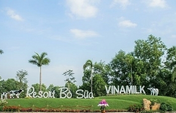 Check-in tại “Resort” bò sữa siêu đẹp của Vinamilk Tây Ninh
