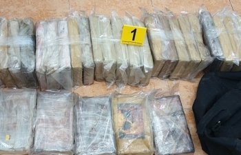 Bắt gần 120 kg cocain giấu trong container bột cá nhập khẩu về Tiền Giang