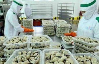 Tiềm năng xuất khẩu ngao của Việt Nam vào Mỹ