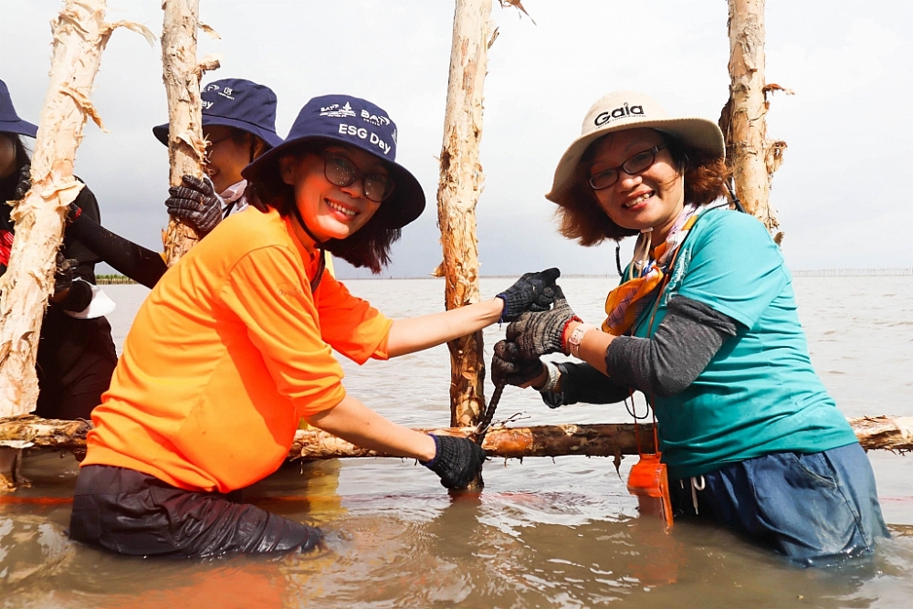 BAT Việt Nam phối hợp trồng rừng chống biến đổi khí hậu