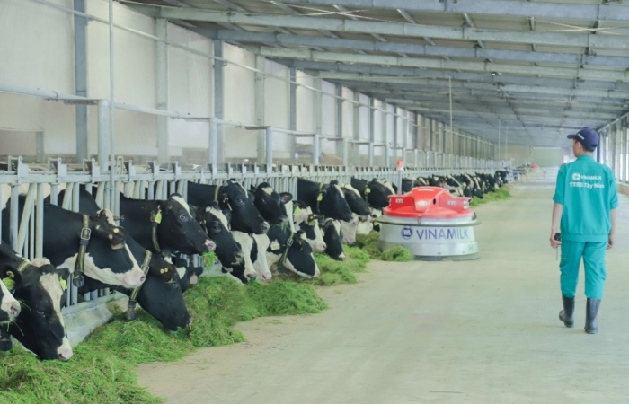 Phát triển nông nghiệp theo hướng bền vững - Nhìn từ hệ thống trang trại bò sữa Vinamilk