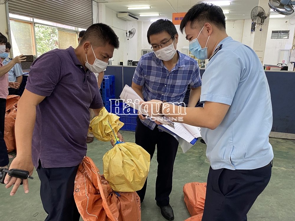 Hải quan TPHCM bắt giữ hàng chục kg ma tuý Hải quan TPHCM bắt giữ hàng chục kg ma tuý