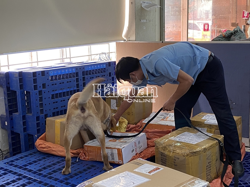 Hải quan TPHCM: Bắt giữ nhiều ma tuý Hải quan TPHCM: Bắt giữ nhiều ma tuý