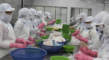 Xuất khẩu cá ngừ sang Mexico tăng gấp đôi