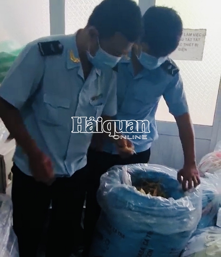 Hải quan Khánh Bình: Bắt vụ nhập lậu gần 1,5 tạ cá ngựa, bóng cá khô