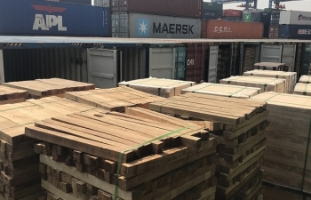 Hình ảnh khám xét 25 container gỗ gian lận thuế lớn
