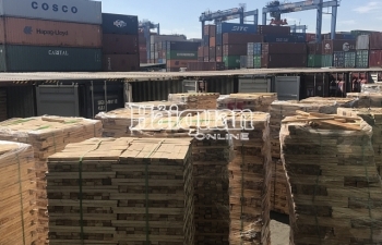 Lô gỗ xuất khẩu gian lận thuế gần 7 tỷ đồng