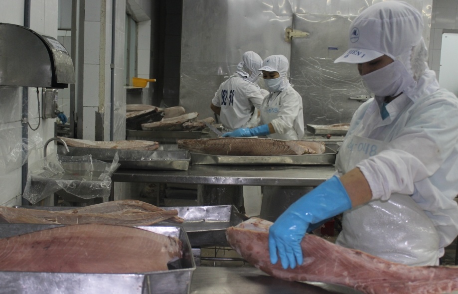 Xuất khẩu cá ngừ thêm khó vì giá cước vận chuyển tăng