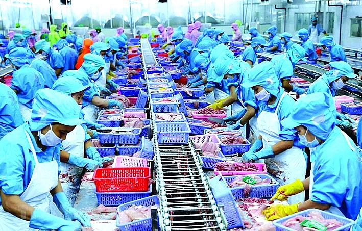 Sản xuất thủy sản xuất khẩu.