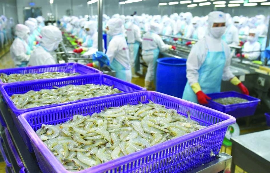 Doanh nghiệp thủy sản thêm cơ hội mở rộng thị phần tại Trung Quốc