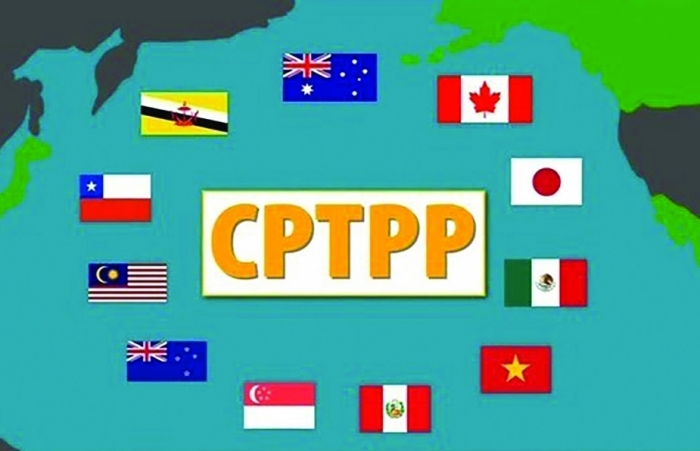 Xuất khẩu sang 8 thị trường thành viên CPTPP tăng trưởng mạnh